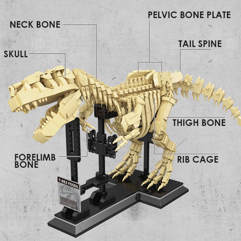 T-rex Dinosaur Fossil Building Blocks